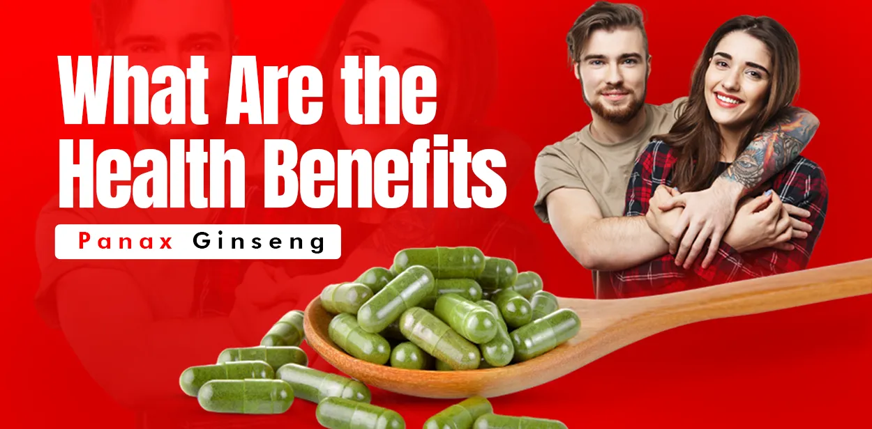 What Are the Health Benefits of Panax Ginseng?